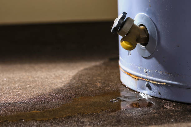 Best Flooded house restoration  in Bethel, NC