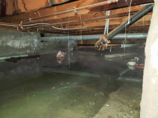 Water damage restoration mold remediation in Bethel, NC