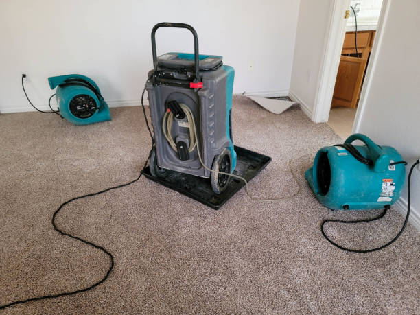 Best Residential water damage restoration  in Bethel, NC