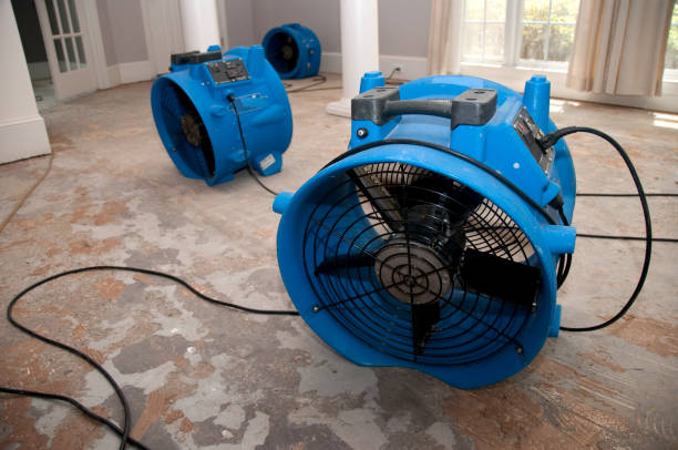Professional Water damage restoration in Bethel, NC