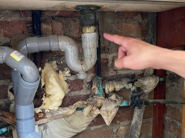 Best Commercial water damage restoration  in Bethel, NC