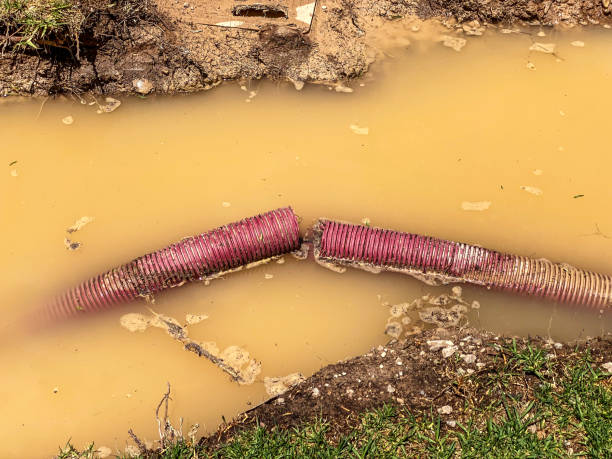 Best 24/7 water damage repair  in Bethel, NC